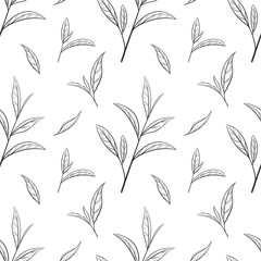 Hand drawn green tea leaf, tips, flush. Sketch Organic food and drink. Vector illustration, seamless pattern black elements on a white background