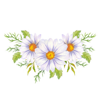 Watercolor daisy bouquet, hand painted daisy bouquets, daisy flower arrangement. Wedding invitation clipart elements. Watercolor floral. Botanical Drawing. White background.Chamomile Watercolor.