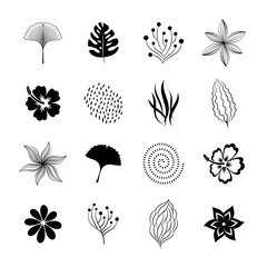 Black vector botanical and organic design elements