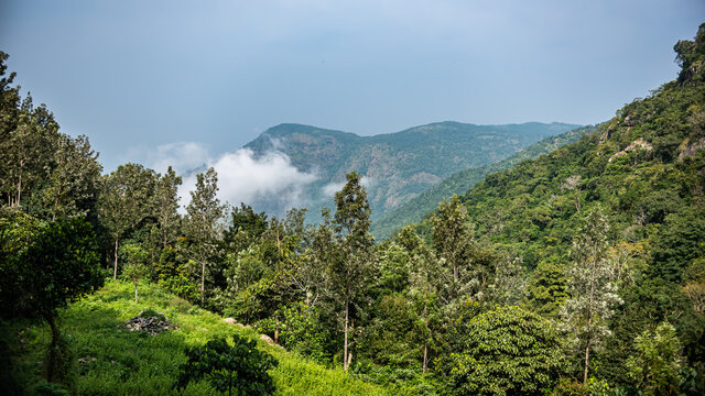 A nice view of Kiliyur Falls. Kiliyur Falls is a waterfall in the Shervaroyan hill range in the Eastern Ghats, Tamil Nadu, India.