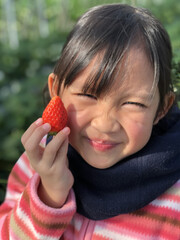 Smiling Asian kid tourist holdings a big red fresh strawberry in glasshouse. Picking strawberry fruit farm tour in winter. Japan, Chiba.