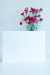 Blank a4 paper template with pink carnation flowers on background