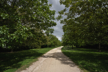 Fototapeta na wymiar Scenic view of a path into the park