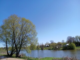 houses on the background of the lake and the blue sky