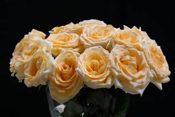 bukiet róż w flakonie na ciemnym tle © Krzysztof