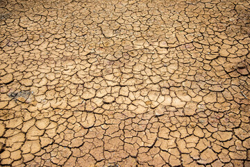 dry soil texture as a hot tempetature summer background