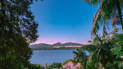Fototapeta na wymiar Tropical Island Landscape Palm tree Vaporwave Purple Blue Green Nature Lake Lagoon