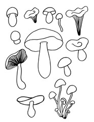 Set of mushrooms black contour on an isolated background.  - 434150564