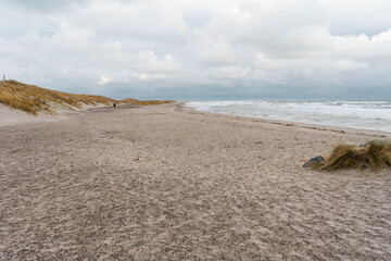 Fototapeta na wymiar sand dunes and beach grenen Denmark