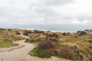 Fototapeta na wymiar path to the sea grenen Denmark
