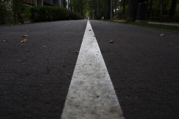 Obraz premium road in the city