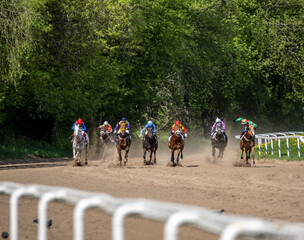 beautiful horses at the races at the opening of the season at the hippodrome on a sunny day 