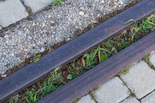 remains of an abandoned train tracks where grass grows, close up view
