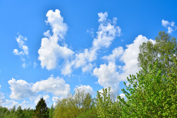 Obraz premium Niebo majowe