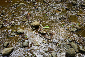 Shallow creek at Japanese garden - 日本庭園の小川
