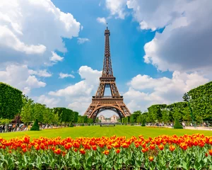 Gordijnen Eiffel Tower and spring tulips on Field of Mars, Paris, France © Mistervlad