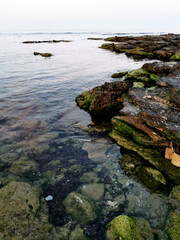 seaweed covered rocks with rough sea in background.