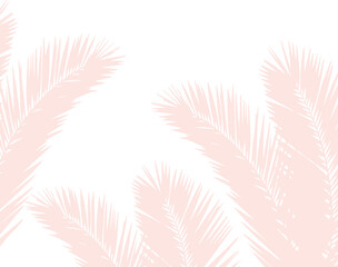 Palm leaves. Background, wallpaper.