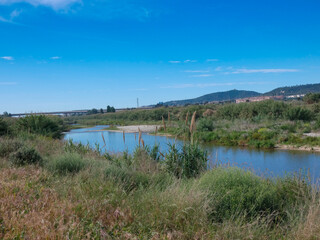 Llobregat River near the city of Barcelona