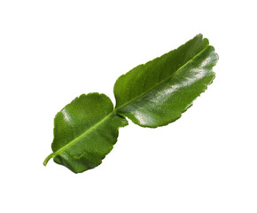 Kaffir lime leaves isolated on white background