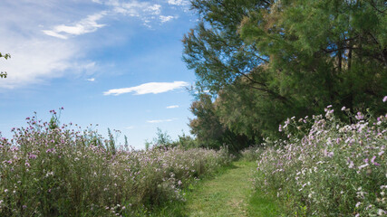 natural park on the outskirts of the city of barcelona