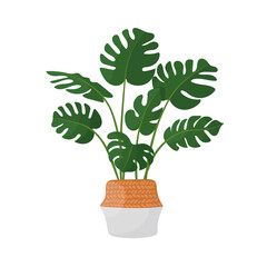 cute flower in a pot. home plant in cartoon style.
