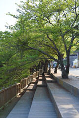 Walking path on Dalmaji Road in Busan, South Korea