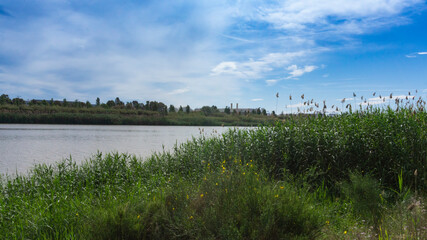 natural park on the outskirts of the city of barcelona