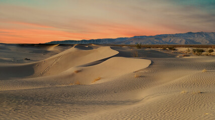 Fototapeta na wymiar Red sky in the desert, dunes, Coahuila Mexico, DUNAS DE BILBAO