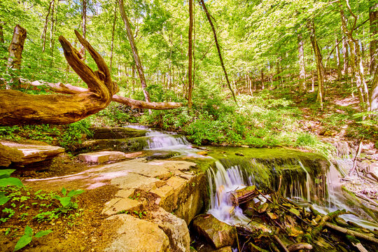 Waterfall In Nature