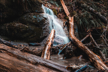 waterfall in the woods