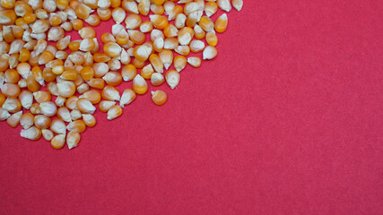 Heap of dry corn grains isolated on the left bottom corner of a bright pink background