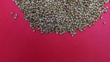 Top view of dry coriander seeds on the red surface - space for text