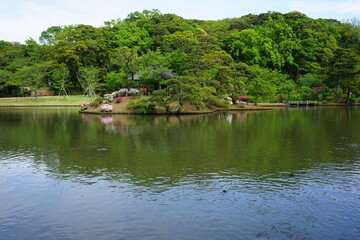 Fototapeta na wymiar Pond and pine tree at Japanese garden - 日本庭園 池 松の木