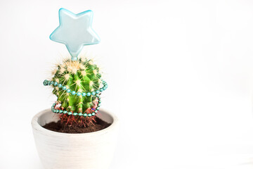 Tropical summer cactus looks like Christmas tree dressed in garland and with Christmas star on top with copy space. . New Year's banner isolated on white background. 
