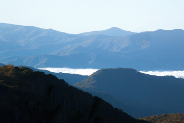 Fototapeta na wymiar Mountain with Morning Mist in the Autumn