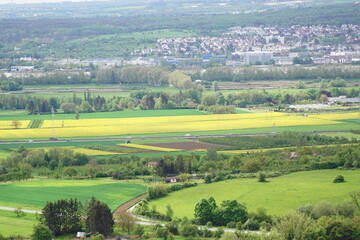 Blick in den Rhein auf den Ort Walluf im Rheingau mit einem Rapsfeld und anderen Feldern