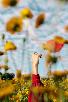 Crop unrecognizable female with raised arm among blooming yellow flowers on meadow in countryside under cloudy sky