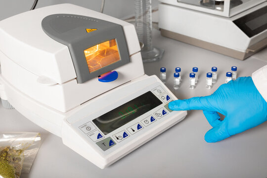 Crop unrecognizable scientist in latex glove pressing button on moisture measuring device at table with dry marihuana in laboratory
