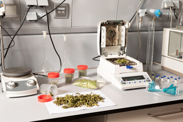 Dried marijuana flower buds on table with analytical balance and moisture measuring device against protective glasses in lab