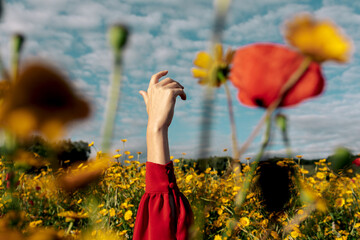 Crop unrecognizable female with raised arm among blooming yellow flowers on meadow in countryside under cloudy sky