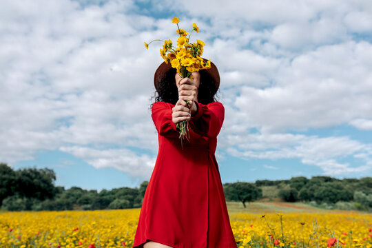 Anonymous female in hat covering face with blossoming yellow flowers in countryside field under cloudy sky