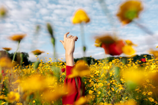 Crop unrecognizable female with raised arm among blooming yellow flowers on meadow in countryside under cloudy sky
