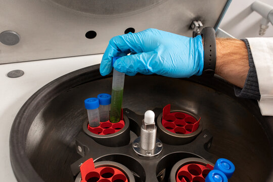 Crop of anonymous male chemist putting sample tubes in centrifugal machine in cannabis lab
