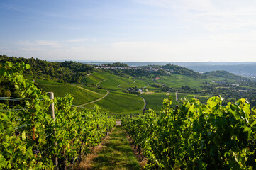 Fototapeta na wymiar Beautiful view of a vineyard panorama with a funerary chapel on a hill in the background near Stuttgart, Germany.