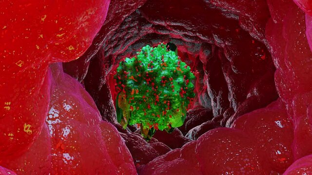 Mastocyte, Mast cell, 3d render