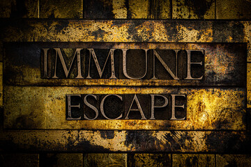 Immune Escape text on vintage textured grunge copper and gold steampunk background