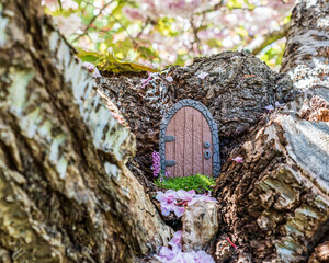 Little fairy tale door made from clay in cherry tree trunk