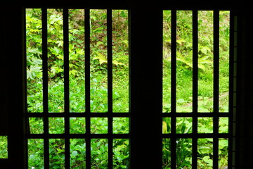 Landscape of fresh green grass from lattice window in Japan - 日本 格子窓からの春の景色