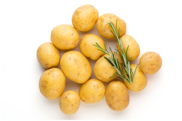New potato and rosemarin isolated on white background close up.